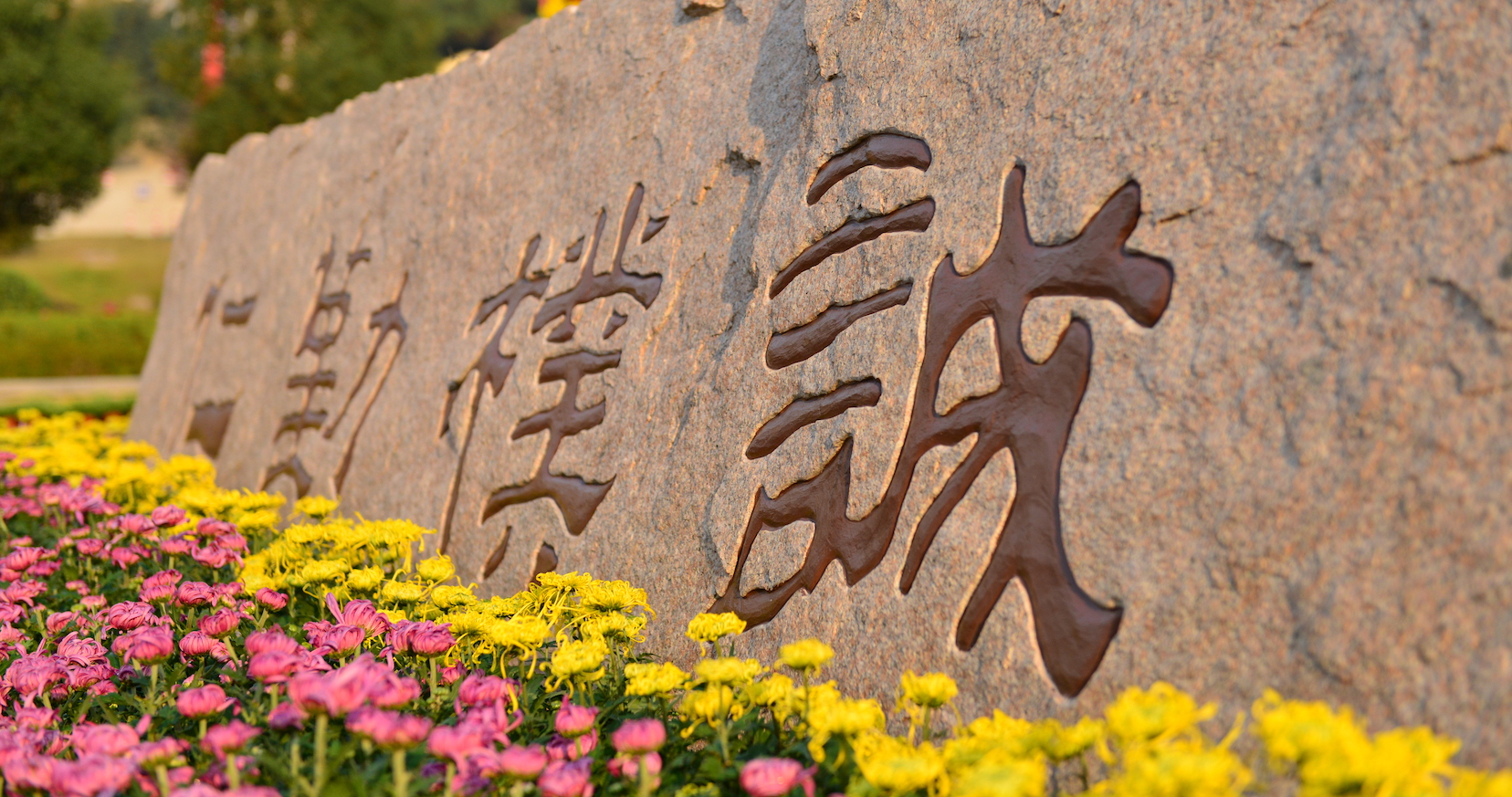 NANJING AGRICULTURAL UNIVERSITY