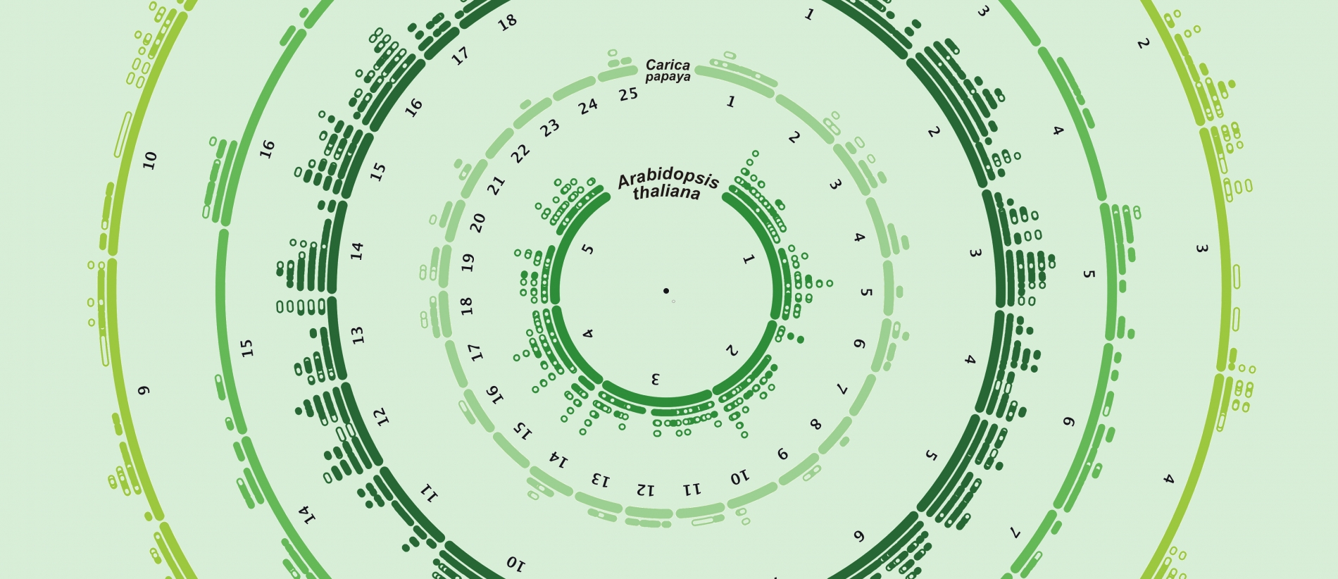 GENOME PROJECTS